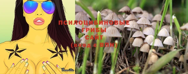 MDMA Premium VHQ Заводоуковск