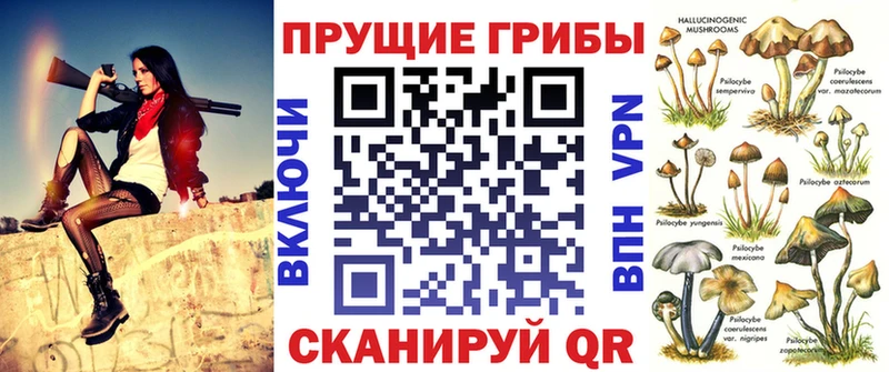 хочу наркоту  Канск  Галлюциногенные грибы Cubensis 