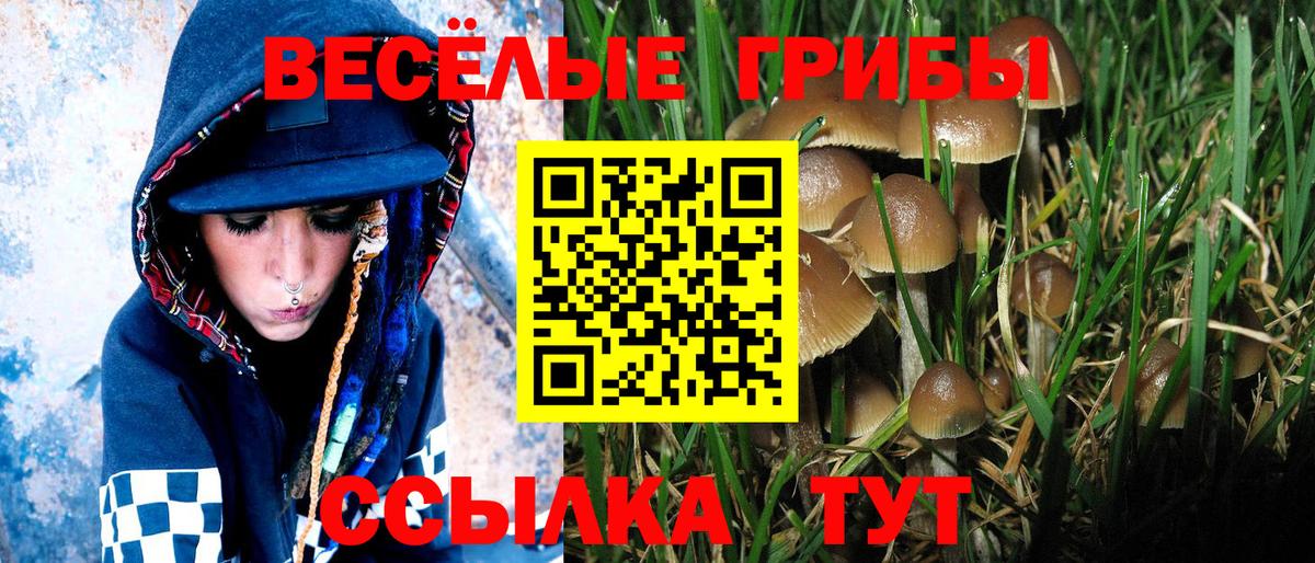 Галлюциногенные грибы мухоморы Канск