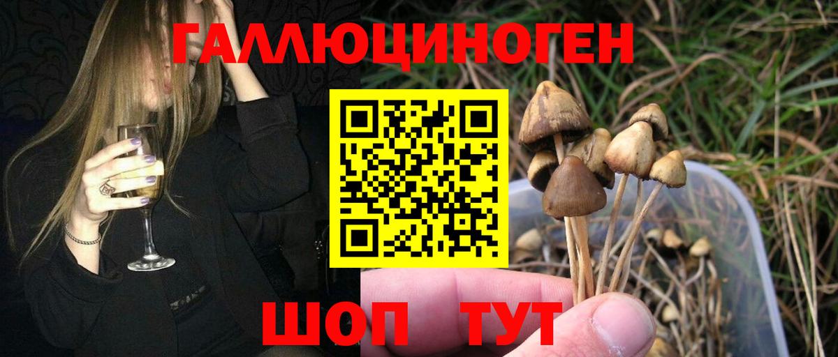 Канск  Псилоцибиновые грибы MAGIC MUSHROOMS  Псилоцибиновые грибы ЛСД  Вход с VPN 