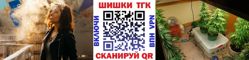 Конопля сатива  Канск 